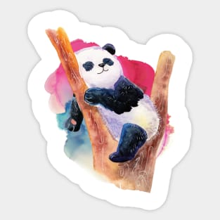 Napping Time Cute Panda - Adorable Panda - Kawaii Panda Sticker